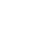 Availability of highly qualified and experienced developers