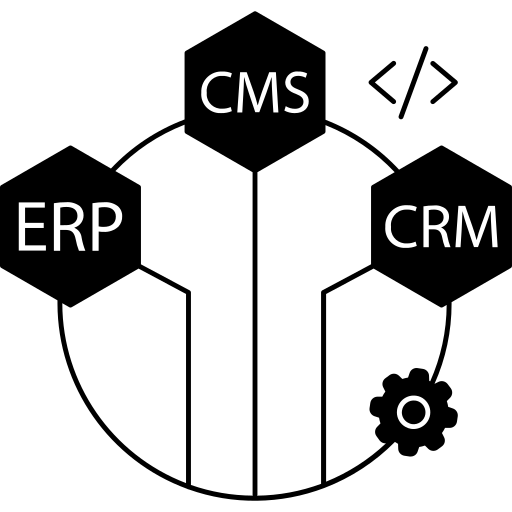 ERP, CRM & API Integrations